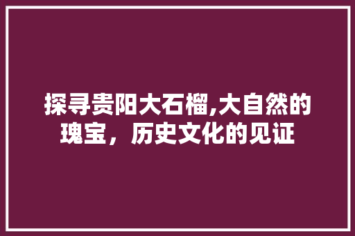 探寻贵阳大石榴,大自然的瑰宝，历史文化的见证