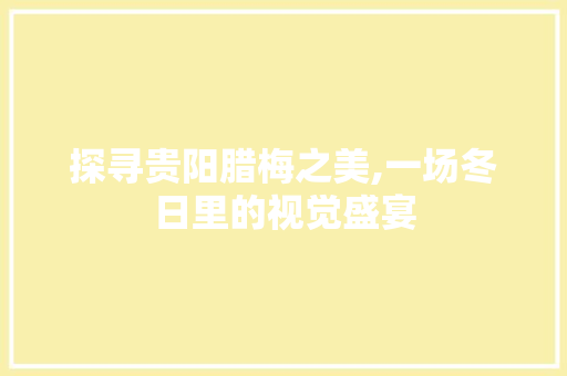 探寻贵阳腊梅之美,一场冬日里的视觉盛宴