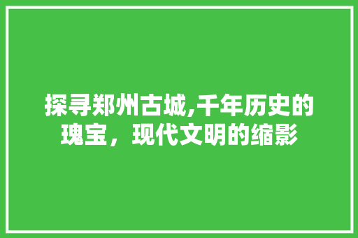 探寻郑州古城,千年历史的瑰宝，现代文明的缩影