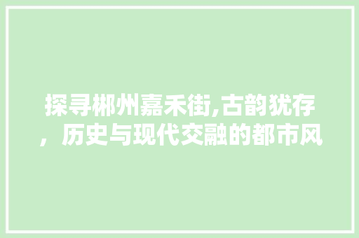 探寻郴州嘉禾街,古韵犹存，历史与现代交融的都市风情