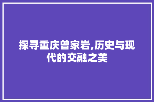 探寻重庆曾家岩,历史与现代的交融之美