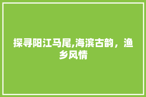 探寻阳江马尾,海滨古韵，渔乡风情