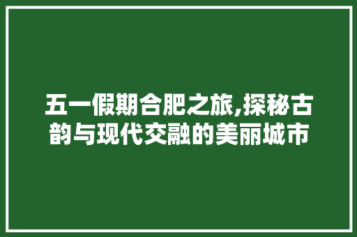 五一假期合肥之旅,探秘古韵与现代交融的美丽城市  第1张