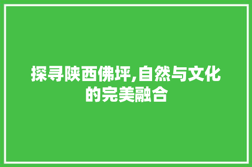 探寻陕西佛坪,自然与文化的完美融合