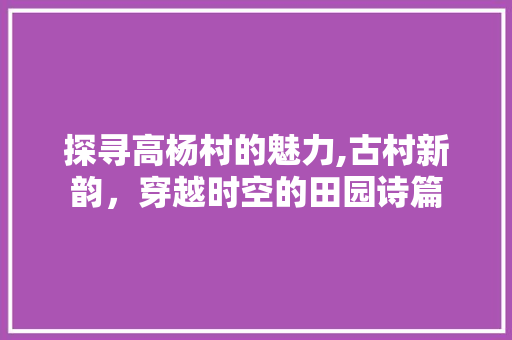 探寻高杨村的魅力,古村新韵，穿越时空的田园诗篇