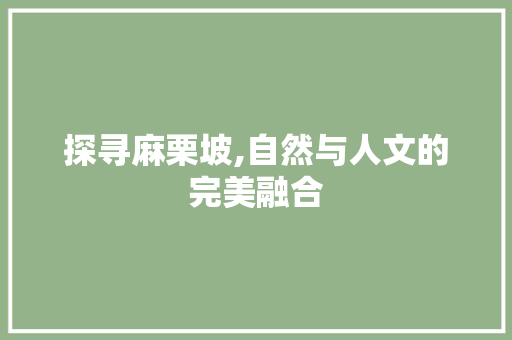 探寻麻栗坡,自然与人文的完美融合