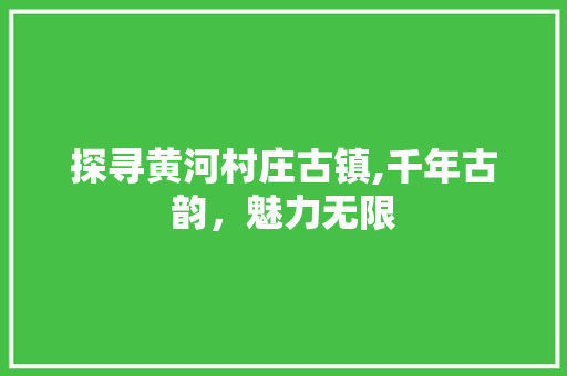 探寻黄河村庄古镇,千年古韵，魅力无限