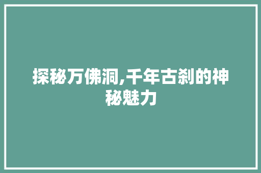 探秘万佛洞,千年古刹的神秘魅力