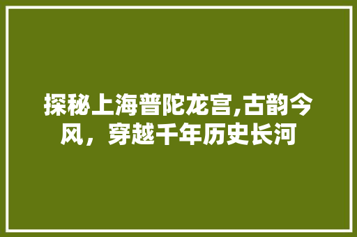 探秘上海普陀龙宫,古韵今风，穿越千年历史长河