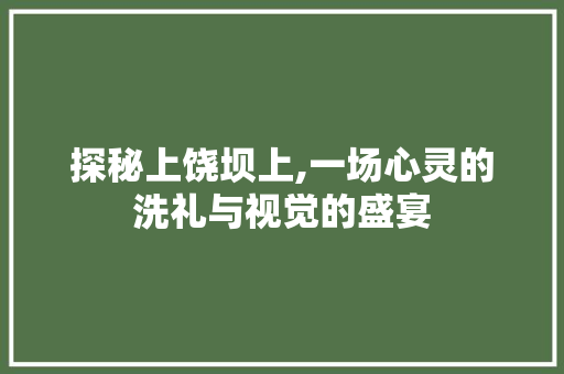 探秘上饶坝上,一场心灵的洗礼与视觉的盛宴