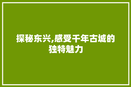 探秘东兴,感受千年古城的独特魅力