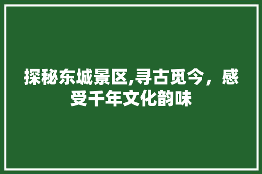 探秘东城景区,寻古觅今，感受千年文化韵味