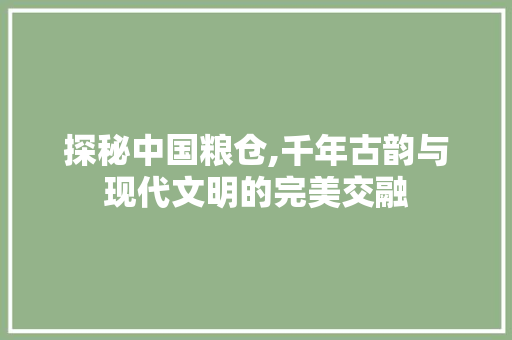 探秘中国粮仓,千年古韵与现代文明的完美交融