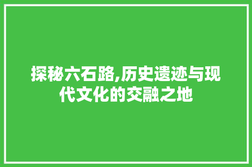 探秘六石路,历史遗迹与现代文化的交融之地