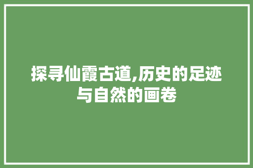 探寻仙霞古道,历史的足迹与自然的画卷