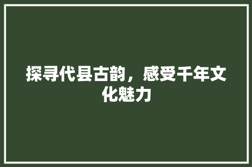 探寻代县古韵，感受千年文化魅力