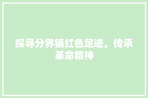 探寻分界镇红色足迹，传承革命精神