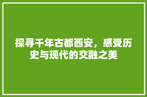 探寻千年古都西安，感受历史与现代的交融之美