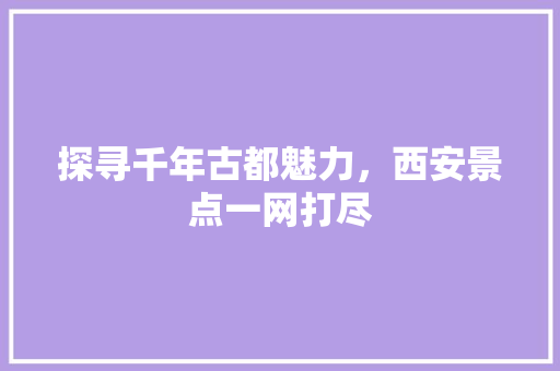 探寻千年古都魅力，西安景点一网打尽