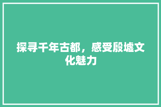 探寻千年古都，感受殷墟文化魅力