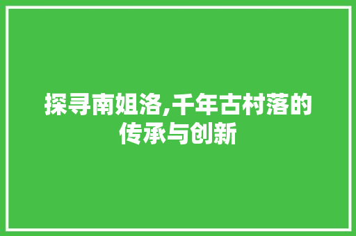 探寻南姐洛,千年古村落的传承与创新