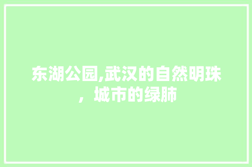 东湖公园,武汉的自然明珠，城市的绿肺  第1张