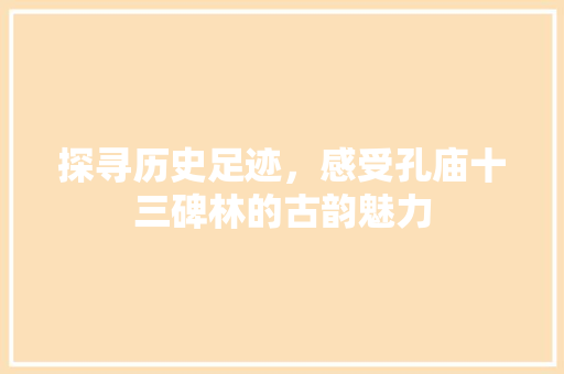 探寻历史足迹，感受孔庙十三碑林的古韵魅力