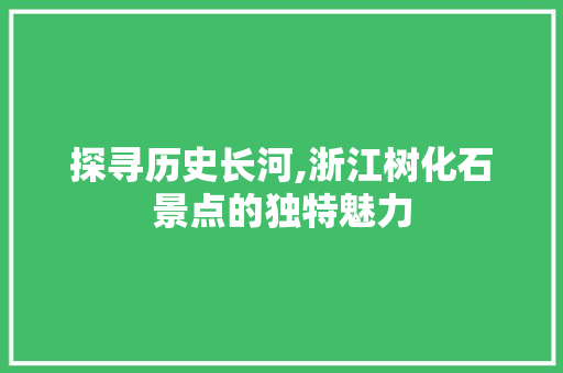 探寻历史长河,浙江树化石景点的独特魅力