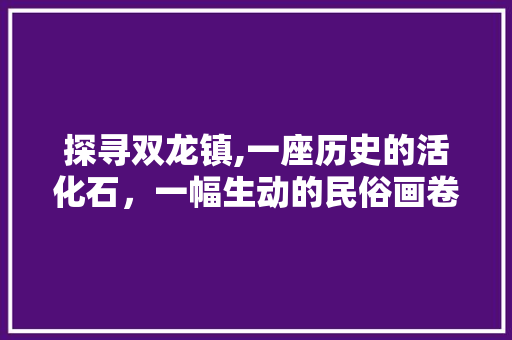 探寻双龙镇,一座历史的活化石，一幅生动的民俗画卷