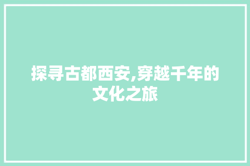 探寻古都西安,穿越千年的文化之旅