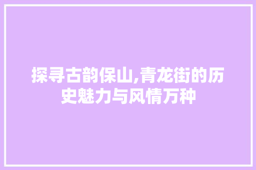 探寻古韵保山,青龙街的历史魅力与风情万种