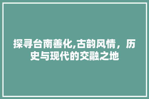 探寻台南善化,古韵风情，历史与现代的交融之地