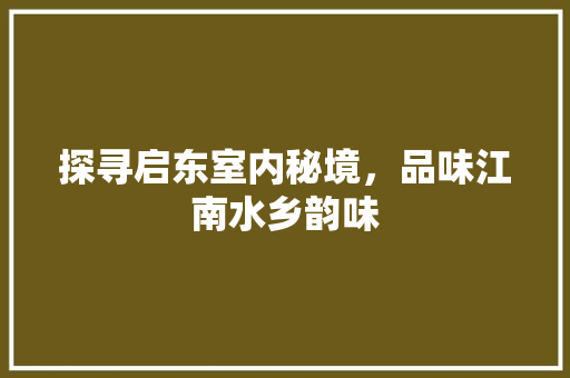 探寻启东室内秘境，品味江南水乡韵味