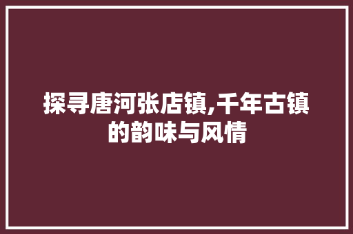 探寻唐河张店镇,千年古镇的韵味与风情