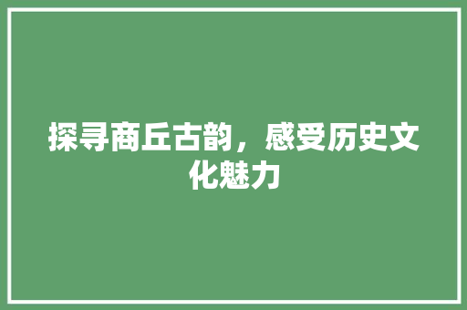 探寻商丘古韵，感受历史文化魅力