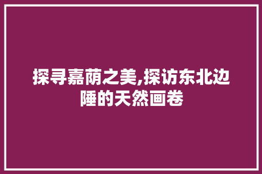 探寻嘉荫之美,探访东北边陲的天然画卷