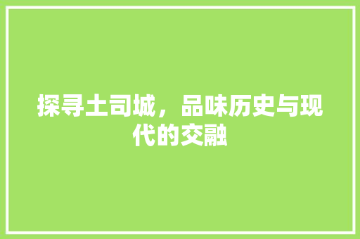 探寻土司城，品味历史与现代的交融