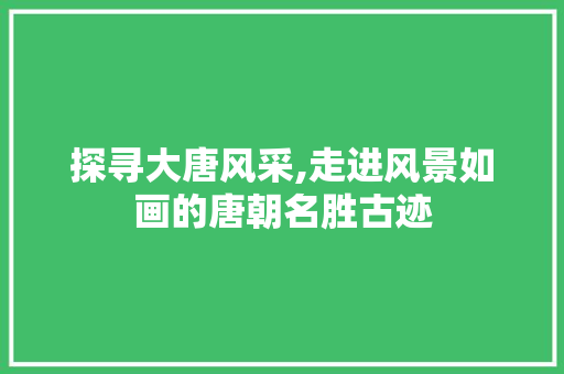 探寻大唐风采,走进风景如画的唐朝名胜古迹