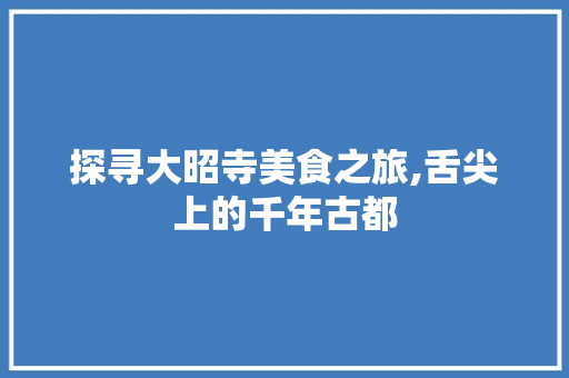 探寻大昭寺美食之旅,舌尖上的千年古都