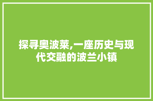 探寻奥波莱,一座历史与现代交融的波兰小镇