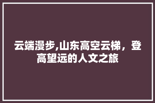 云端漫步,山东高空云梯，登高望远的人文之旅