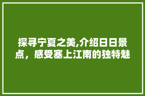 探寻宁夏之美,介绍日日景点，感受塞上江南的独特魅力