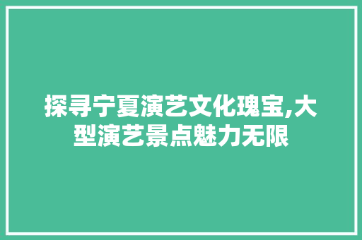 探寻宁夏演艺文化瑰宝,大型演艺景点魅力无限