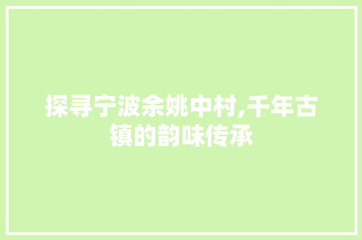 探寻宁波余姚中村,千年古镇的韵味传承