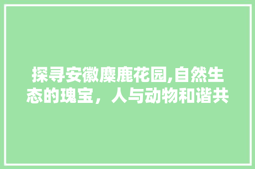 探寻安徽麋鹿花园,自然生态的瑰宝，人与动物和谐共生的典范