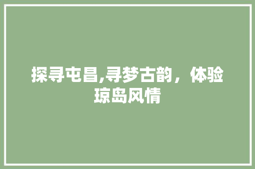 探寻屯昌,寻梦古韵，体验琼岛风情