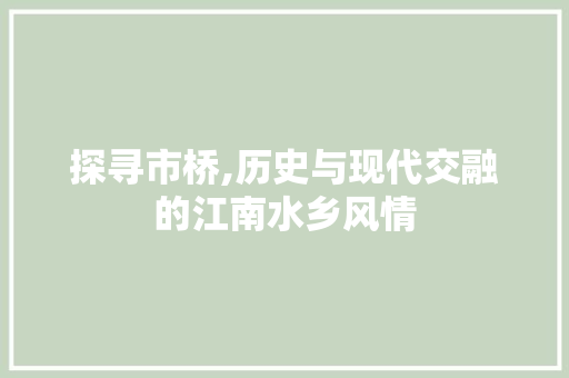 探寻市桥,历史与现代交融的江南水乡风情