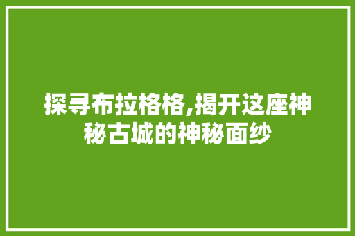 探寻布拉格格,揭开这座神秘古城的神秘面纱