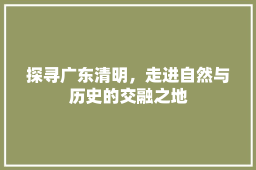 探寻广东清明，走进自然与历史的交融之地