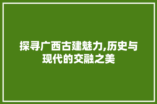 探寻广西古建魅力,历史与现代的交融之美